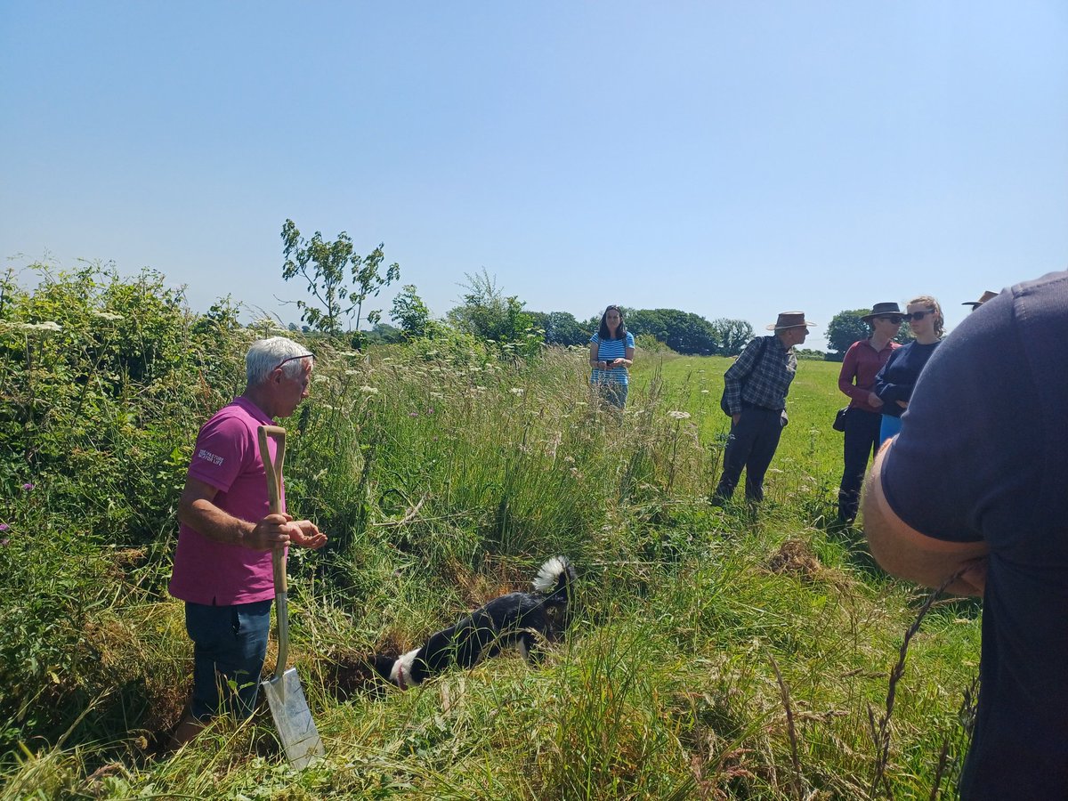 Beealert8's tweet image. Lovely event, #PFLA supported and hosted. Talking all things grassland with National lead on grassland Shaun Couch