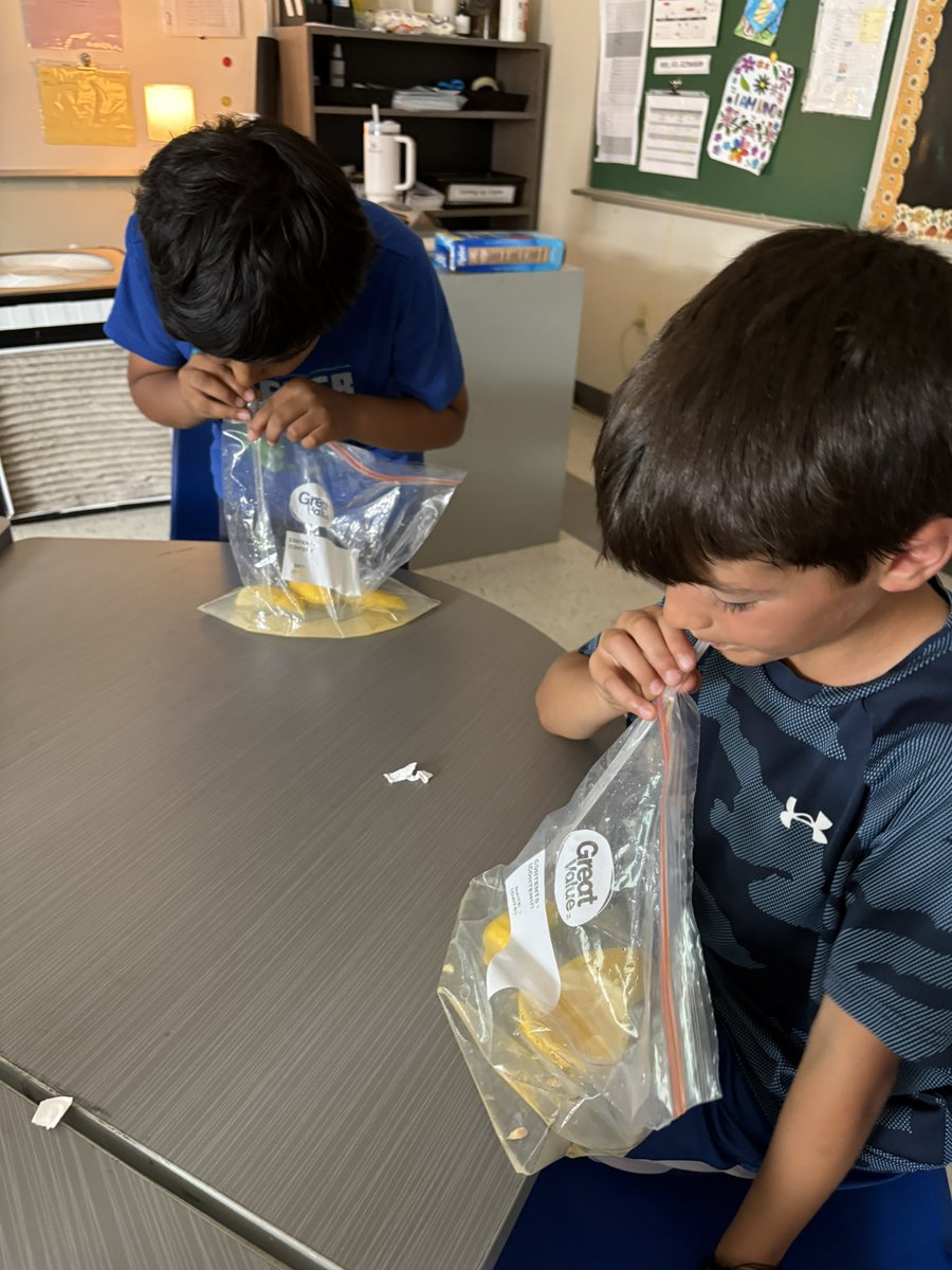 Mrs. Altobelli tweet media