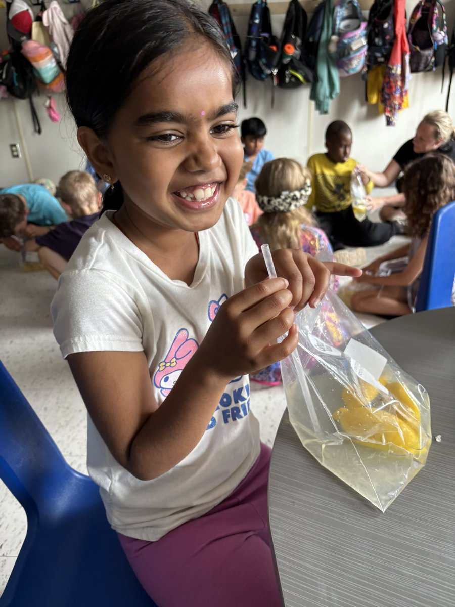 Mrs. Altobelli tweet media