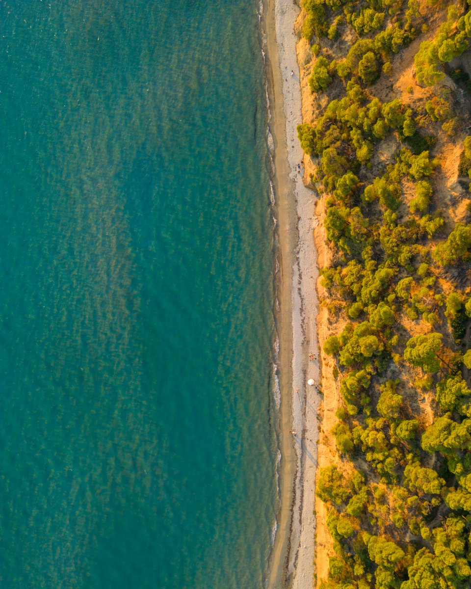 Yes, the sea in in Halkidiki is stunning — but that’s just the beginning.
✨ Wander through pine forests, discover timeless villages, and step into ancient history. Halkidiki is a place where every turn tells a story.

💙 visitgreece.gr/mainland/maced…

#VisitGreece #Halkidiki