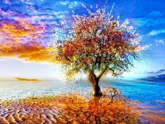 mockingjaylibre's tweet image. 🌍🌼🌈💚