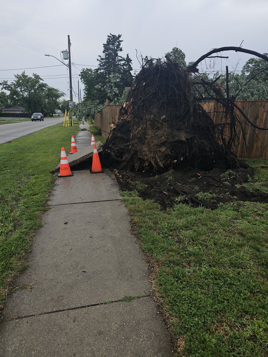 WE_SEE_'s tweet photo. Some damage today from storm that crossed through lasalle ontario today. combination  of excessive  rainfall/loosened roots and gusts/ older trees needing  dead wood dropped. 
More pics in comments. All fell storm directional 
@IWeatherON 
@weathernetwork 
#ONStorm 
@NTP_Reports https://t.co/SZGjg3JYIZ