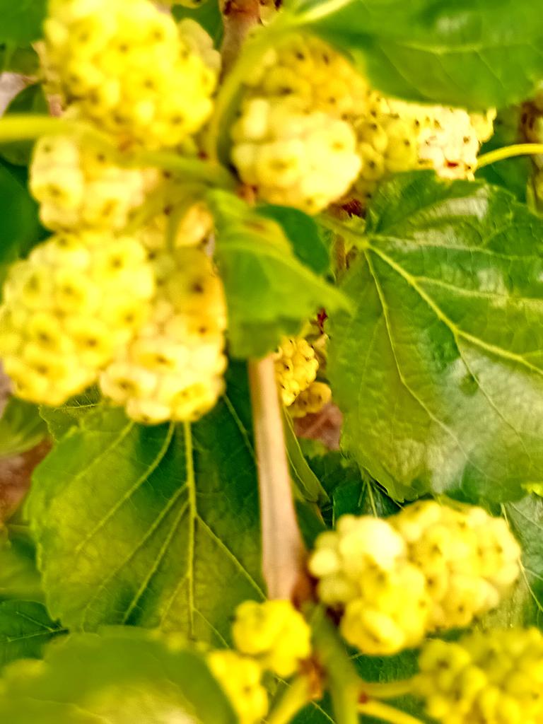 Катерина Галич tweet media