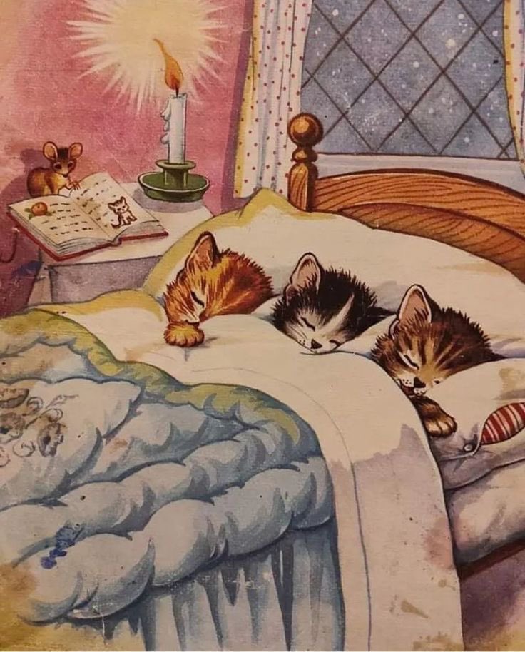 ♡ (@artcelinelove) on Twitter photo 