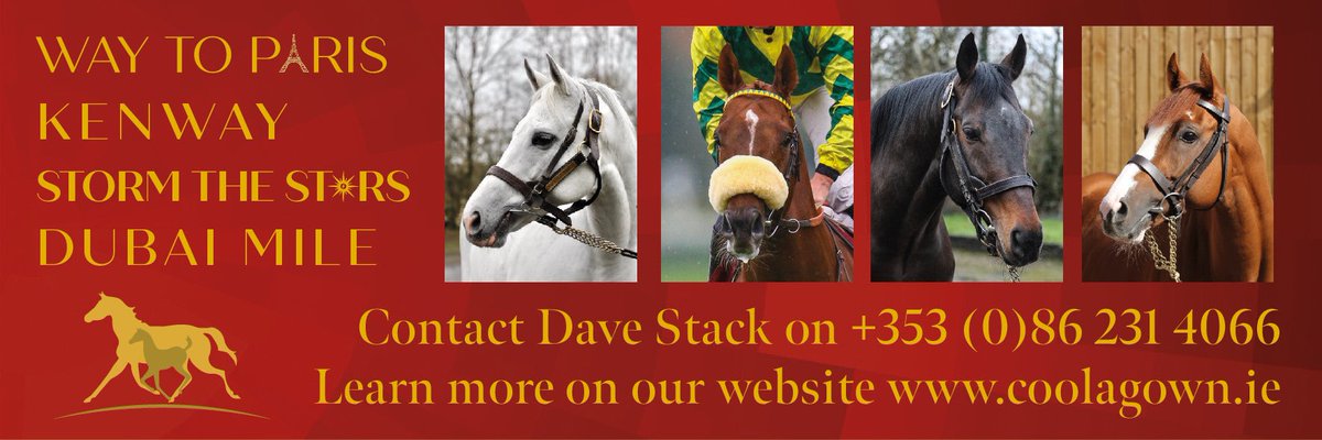 🚨 Breeders, it’s NOT too late! 🐎 
You will still have a May foal

𝘿𝙐𝘽𝘼𝙄 𝙈𝙄𝙇𝙀 Gr.1 10f Winner €2000
𝙆𝙀𝙉𝙒𝘼𝙔 Multiple Stakes Winner by Galiway €1500
𝙎𝙏𝙊𝙍𝙈 𝙏𝙃𝙀 𝙎𝙏𝘼𝙍𝙎 Proven NH Sire with 2 Grade 1 Horses €2000
𝙒𝘼𝙔 𝙏𝙊 𝙋𝘼𝙍𝙄𝙎 Gr.1 Winner 1st