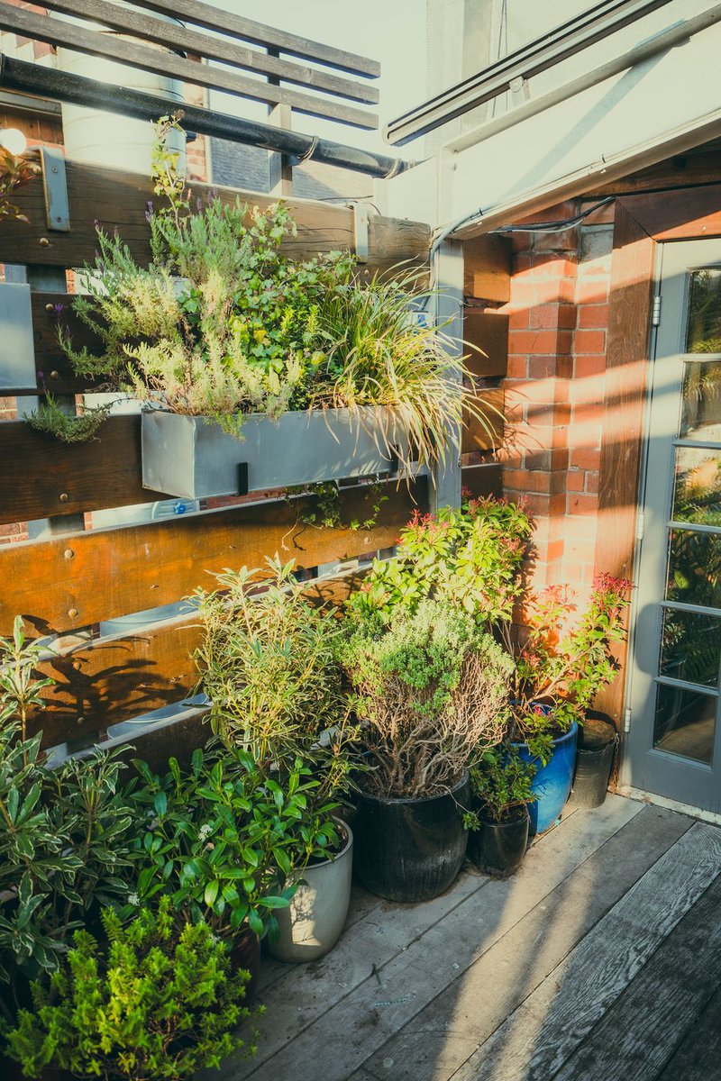 Sunny evenings on the roof terrace, there's really nothing like it 🌅