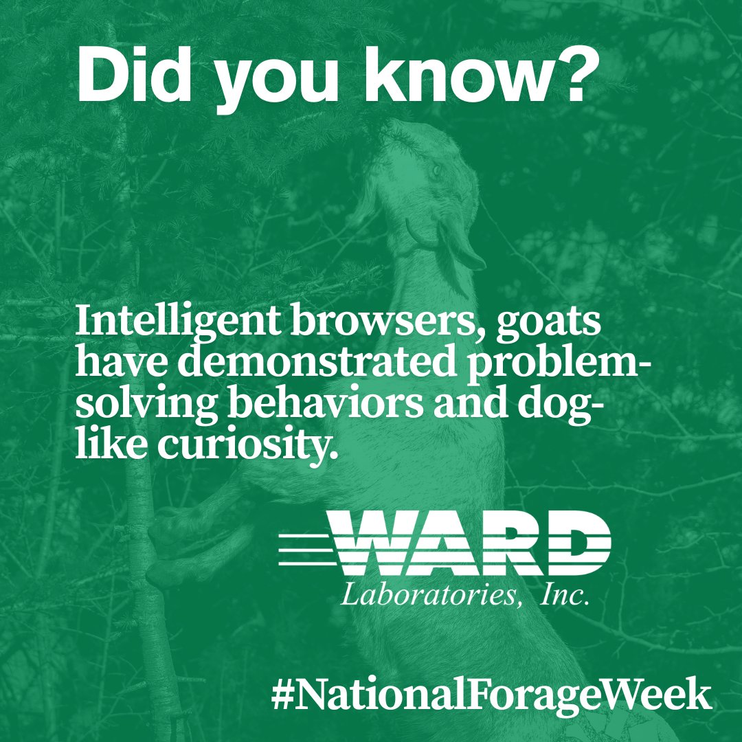 Ward Laboratories, Inc. tweet media