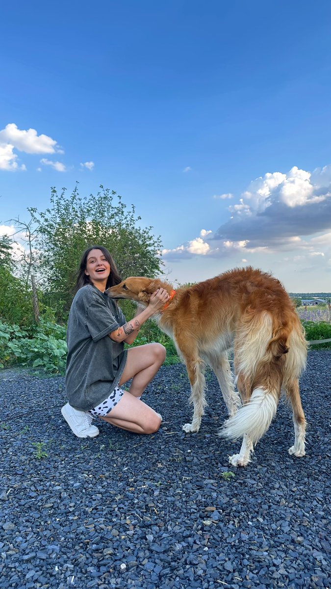 я если бы была собакой