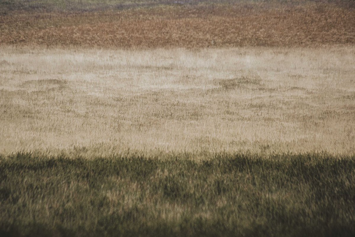 e. llew. morris - hwyl iawn i pawb π (@edmorrisuk) on Twitter photo Le Tricolore - a multiple exposure of last years ferns, pale lowland grasses and fresh new season green π somewhere in rural Wales
#ThePhotoHour #StormHour #photography #walesartists <a href="/photography/">@photography</a> <a href="/visitwales/">Visit Wales π΄σ §σ ’σ ·σ ¬σ ³σ Ώ</a> <a href="/ItsYourWales/">It's Your Wales</a> Le Tricolore - a multiple exposure of last years ferns, pale lowland grasses and fresh new season green π somewhere in rural Wales
#ThePhotoHour #StormHour #photography #walesartists <a href="/photography/">@photography</a> <a href="/visitwales/">Visit Wales π΄σ §σ ’σ ·σ ¬σ ³σ Ώ</a> <a href="/ItsYourWales/">It's Your Wales</a>
