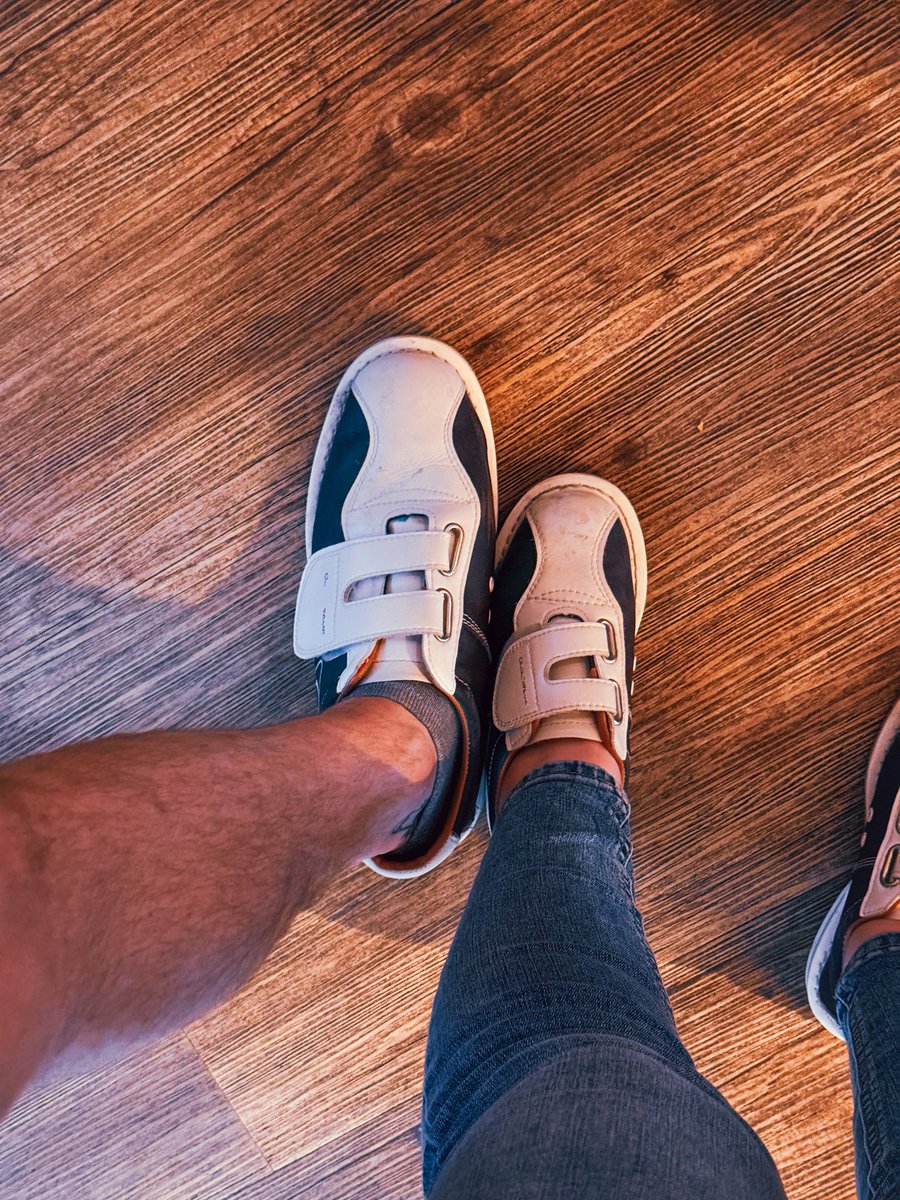 Joito 🐱 tweet media