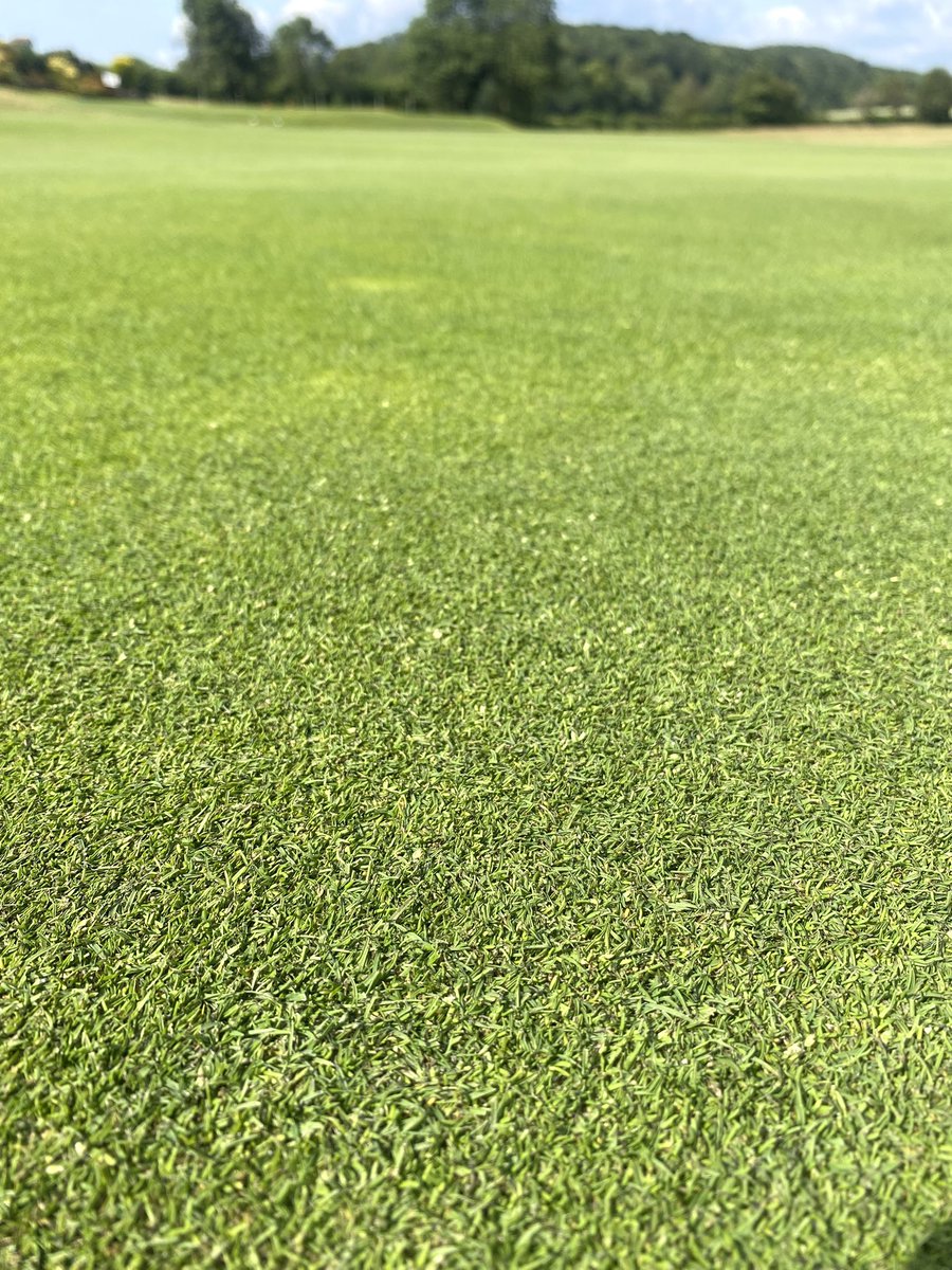 Ventured north today to see Dan at <a href="/LindrickGC/">LindrickGolfClub</a>, great surfaces ready for open qualifying next week 👌🏻
<a href="/CollierTurfCare/">Collier Turf Care</a>