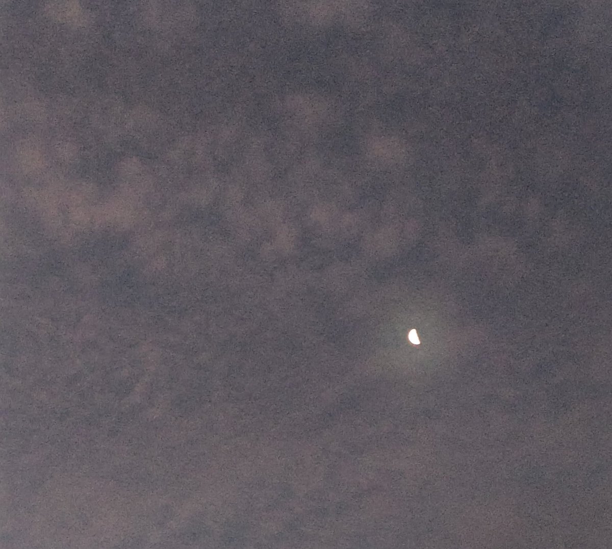 pare0718's tweet photo. おはよう☀️
やっと4:15になった😅
今日は公休日
このところ夜中に目が覚めちゃう💦
疲れてるのになぁ😮‍💨
朝から暑いよ‼️
���日も熱中症要注意⚠️
 #真夏日  #早朝覚醒
 #ペットロス 
 #保護犬猫を家族に 
 #公休日 https://t.co/xMcgVmeXzz