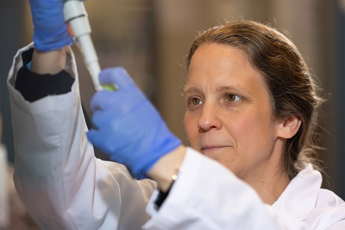 UT Research (@researchutk) on Twitter photo The importance of <a href="/rp_mccord/">Rachel Patton McCord</a> 's research into human chromosome structure and DNA damage to cancer cells has led to $3 million in grants from <a href="/ENERGY/">U.S. Department of Energy</a> and <a href="/NIH/">NIH</a>. The importance of <a href="/rp_mccord/">Rachel Patton McCord</a> 's research into human chromosome structure and DNA damage to cancer cells has led to $3 million in grants from <a href="/ENERGY/">U.S. Department of Energy</a> and <a href="/NIH/">NIH</a>.