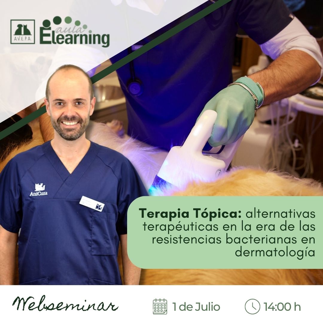 ¿La #terapiatópica es el futuro en #dermatologíaveterinaria?
Lo analizamos con Isaac Carrasco en el #webinarAVEPA: 1 julio |  14 h
+info en formacion.avepaelearning.com/course/info.ph…
#veterinaria #formacionveterinaria