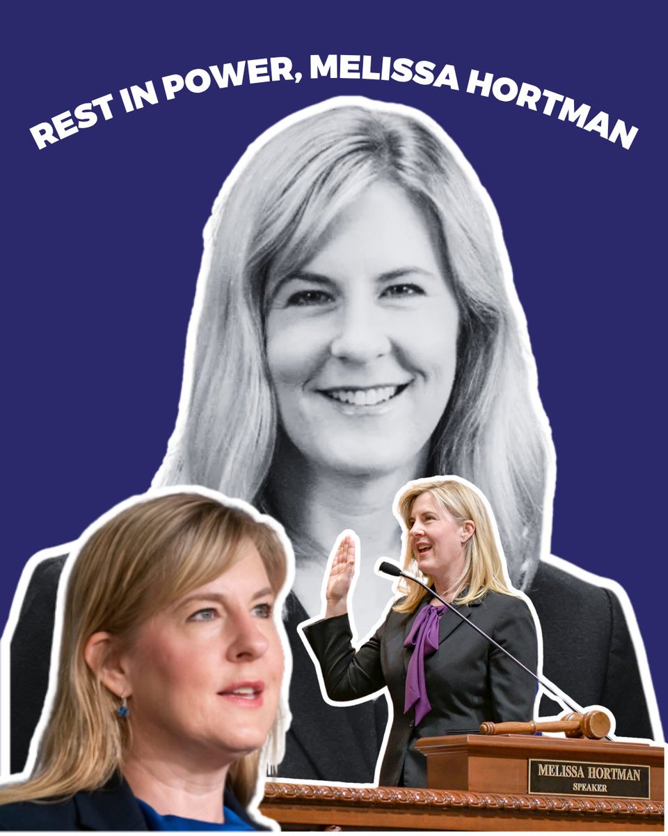 VRLAction's tweet image. We are devastated by the assassination of Minnesota Rep. Melissa Hortman. We must ensure no one fears violence for serving their community. We’ve made free anti-violence resources available at VRLHQ.org — no login, no barriers. 🔗 vrlhq.org/resources/?key…