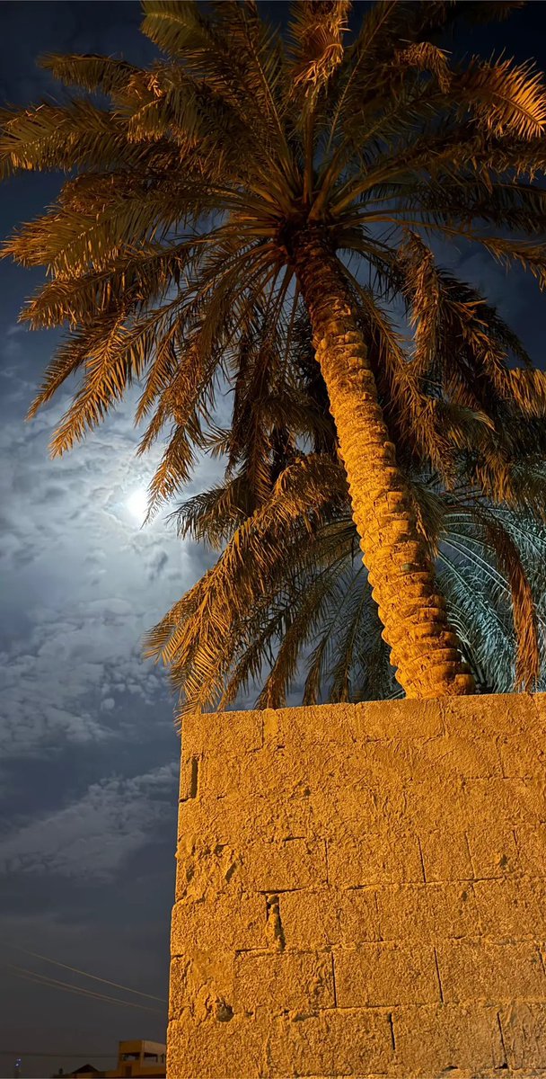 _qqa7's tweet image. 