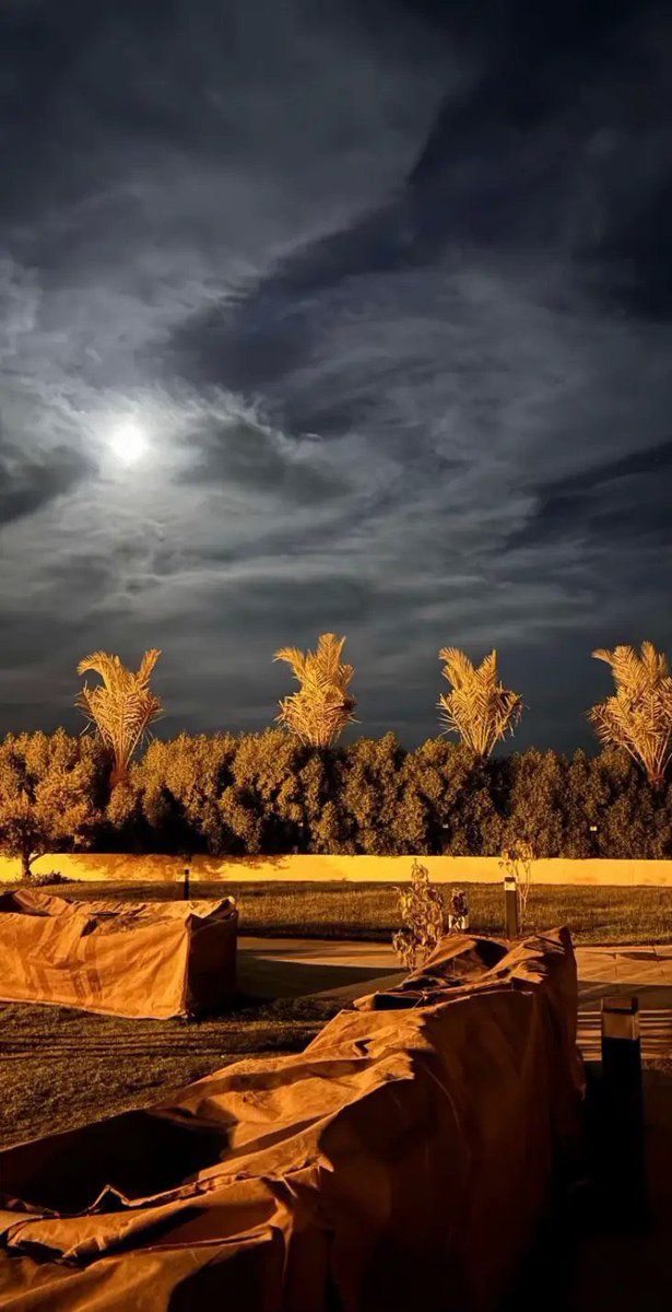 _qqa7's tweet image. 