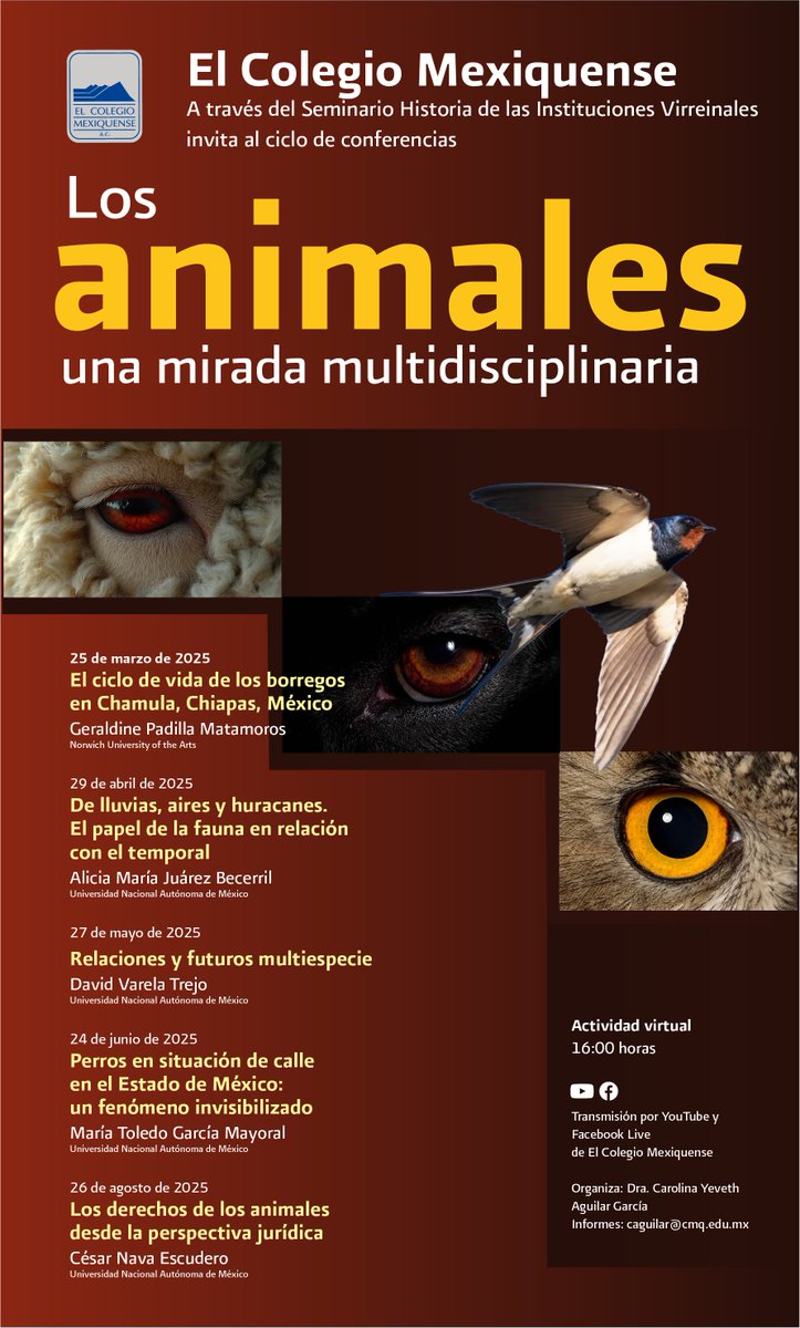La sesión del ciclo de conferencias «Los animales. Una mirada multidisciplinaria», organizado por la doctora Carolina Yeveth Aguilar García, estará dedicada a «Perros en situación de calle en el Estado de México: un fenómeno invisibilizado». La conferencia será ofrecida por María