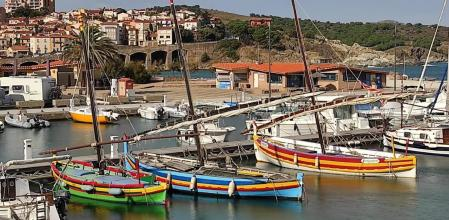 El músic Julien Leone i el jugador d'handbol del Barça, Ludovic Fàbregas, tots dos fills de Banyuls de la Marenda, fan brillar la #CatalunyaNord des dels Alberes fins al sud.