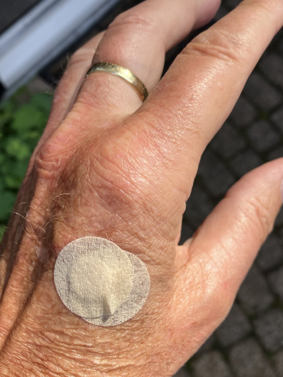 Dick van der Plas tweet media