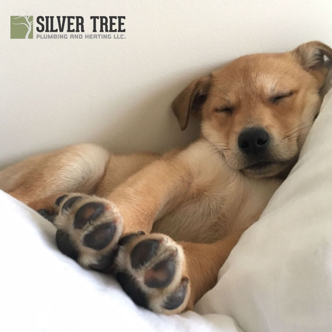 SilverTreeHVAC tweet picture