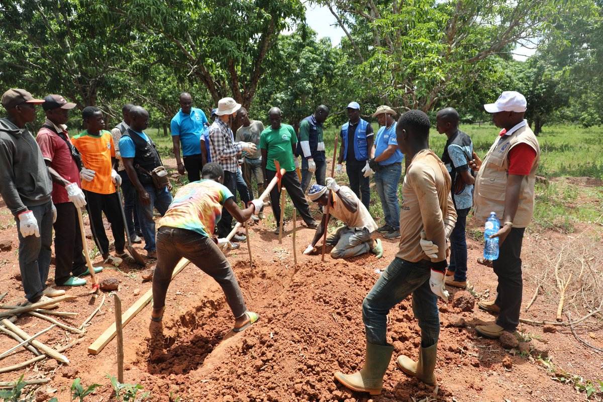 WFP_Cotedivoire's tweet image. Renforcer les capacités des communautés rurales est une priorité pour le PAM.
La formation en #agroforesterie dans le Poro permettra :
✅D’acquérir les bases techniques
✅De favoriser l’appropriation locale
✅De renforcer la collaboration communautaire pour plus de durabilité
