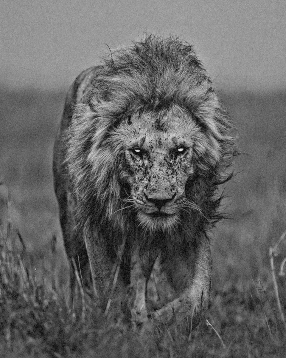 Ya bir yol buluruz

Ya bir yol yaparız

İyi akşamlar.