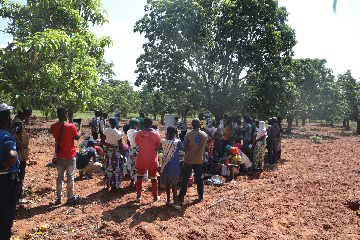 WFP_Cotedivoire's tweet image. Renforcer les capacités des communautés rurales est une priorité pour le PAM.
La formation en #agroforesterie dans le Poro permettra :
✅D’acquérir les bases techniques
✅De favoriser l’appropriation locale
✅De renforcer la collaboration communautaire pour plus de durabilité