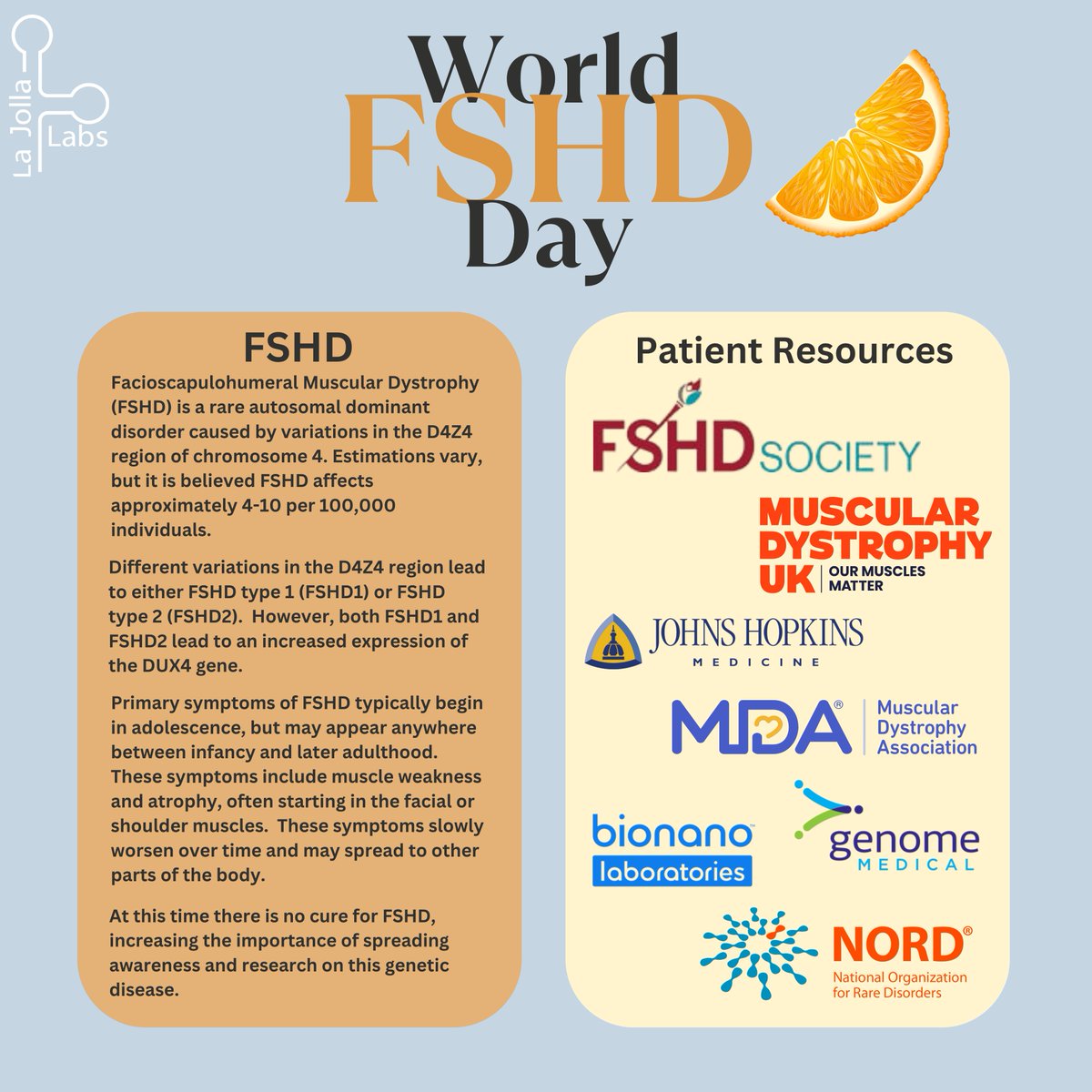 lajollalabs's tweet photo. Today, June 20th, is World FSHD Day.
FSHD is a rare genetic muscle disorder that can affect and cause atrophy in the facial, shoulder, upper arm, and lower leg muscles of an individual.
Learn more about FSHD in our infographic below
#FSHD #WorldFSHDDay #CureFSHD #RareResearch https://t.co/Kbto2rcHBA