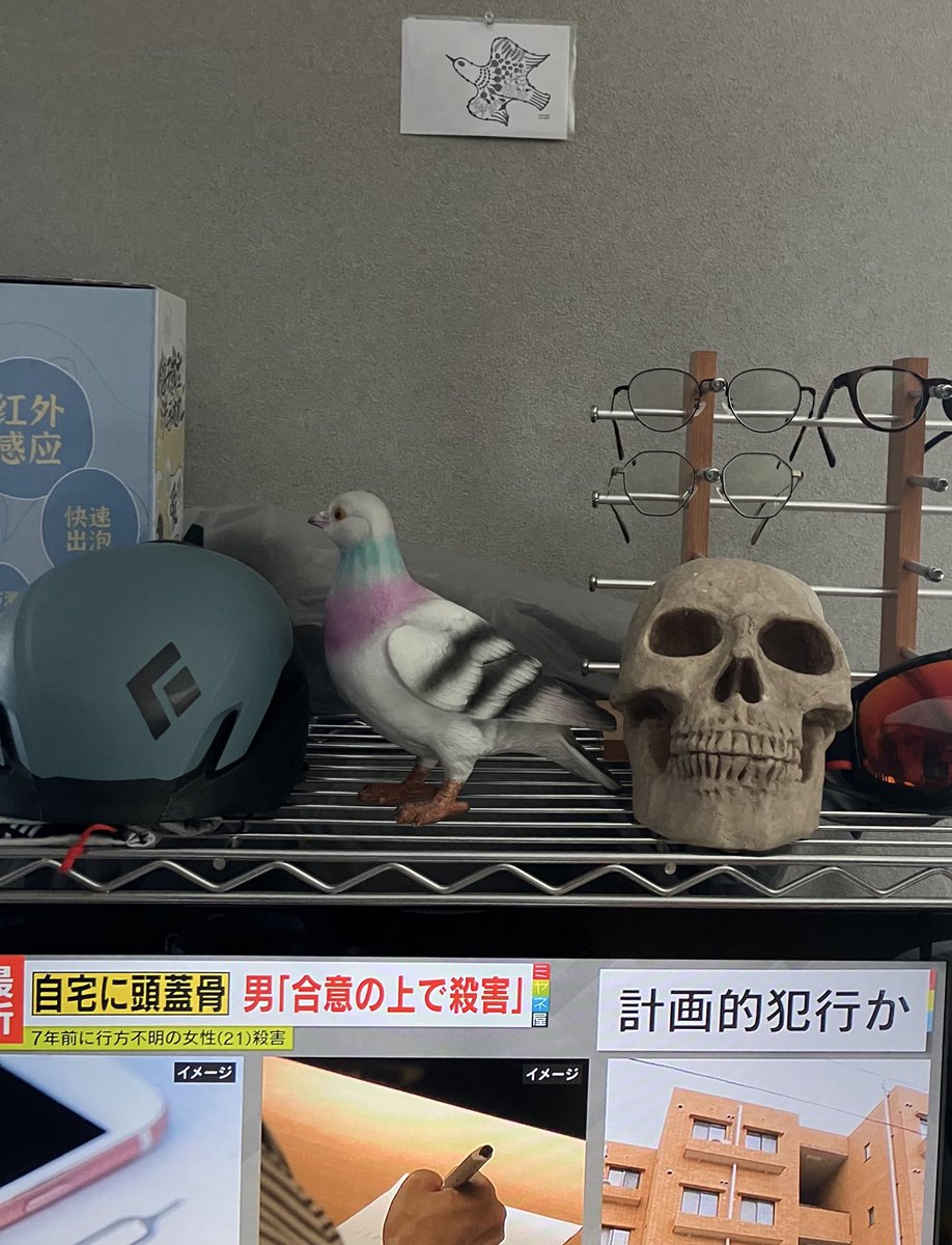 うちも自宅に頭蓋骨💀