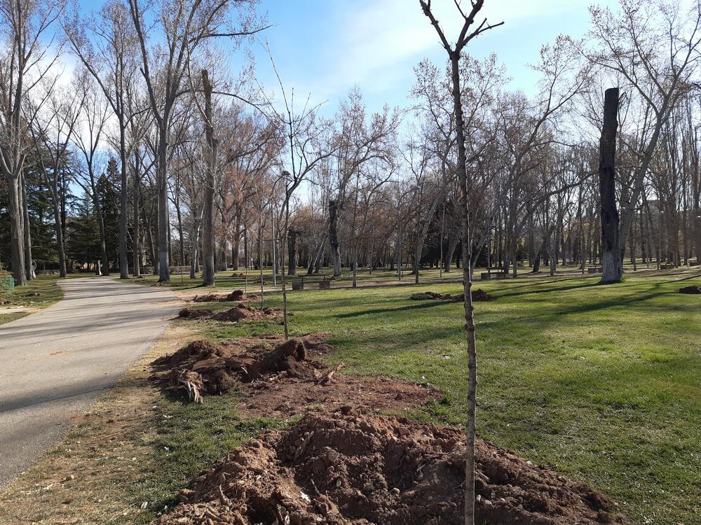 En 'Más de uno Almazán' conocemos de la mano del alcalde Jesús Cedazo algunas de las actuaciones que se están realizando, como la licitación del  nuevo campo de fútbol de césped artificial. #Soria #almazán
⬇️
acortar.link/tRZ1Nt