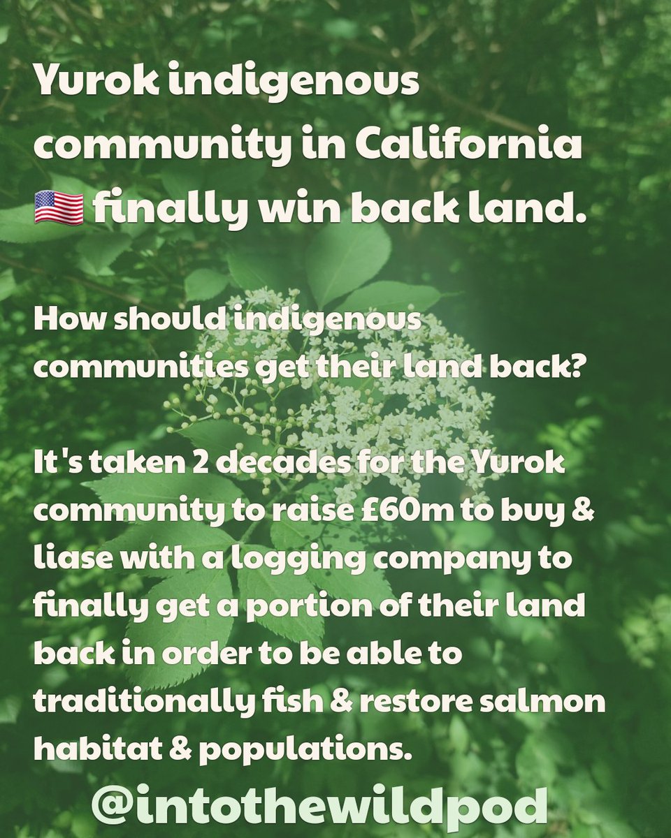 IntoTheWildPod's tweet image. 🎙Nature News - Week 19
Land reform & nuclear power are the main stories this week. From 🇺🇸 to 🇬🇧.
▶️ Out now & links here: linktr.ee/intothewildpod
📅 New episodes out every Wednesday