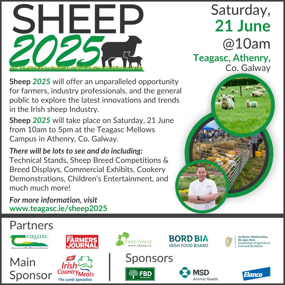 Teagasc (@teagasc) on Twitter photo Sheep 2025, the largest dedicated sheep-focused open day on the island of Ireland takes place on Saturday, 21 June from 10am to 5pm at Teagasc Athenry, Co. Galway.
Find out more teagasc.ie/sheep2025
<a href="/TeagascSheep/">TeagascSheep</a> <a href="/FJSheep/">FJ Sheep</a> <a href="/SheepIreland/">Sheep Ireland ๐๐๐๐๐</a> <a href="/Bordbia/">Bord Bia - The Irish Food Board</a> <a href="/agriculture_ie/">Dept of Agriculture, Food and the Marine</a> <a href="/ABPDemoFarm/">ABPDemoFarm</a> Sheep 2025, the largest dedicated sheep-focused open day on the island of Ireland takes place on Saturday, 21 June from 10am to 5pm at Teagasc Athenry, Co. Galway.
Find out more teagasc.ie/sheep2025
<a href="/TeagascSheep/">TeagascSheep</a> <a href="/FJSheep/">FJ Sheep</a> <a href="/SheepIreland/">Sheep Ireland ๐๐๐๐๐</a> <a href="/Bordbia/">Bord Bia - The Irish Food Board</a> <a href="/agriculture_ie/">Dept of Agriculture, Food and the Marine</a> <a href="/ABPDemoFarm/">ABPDemoFarm</a>