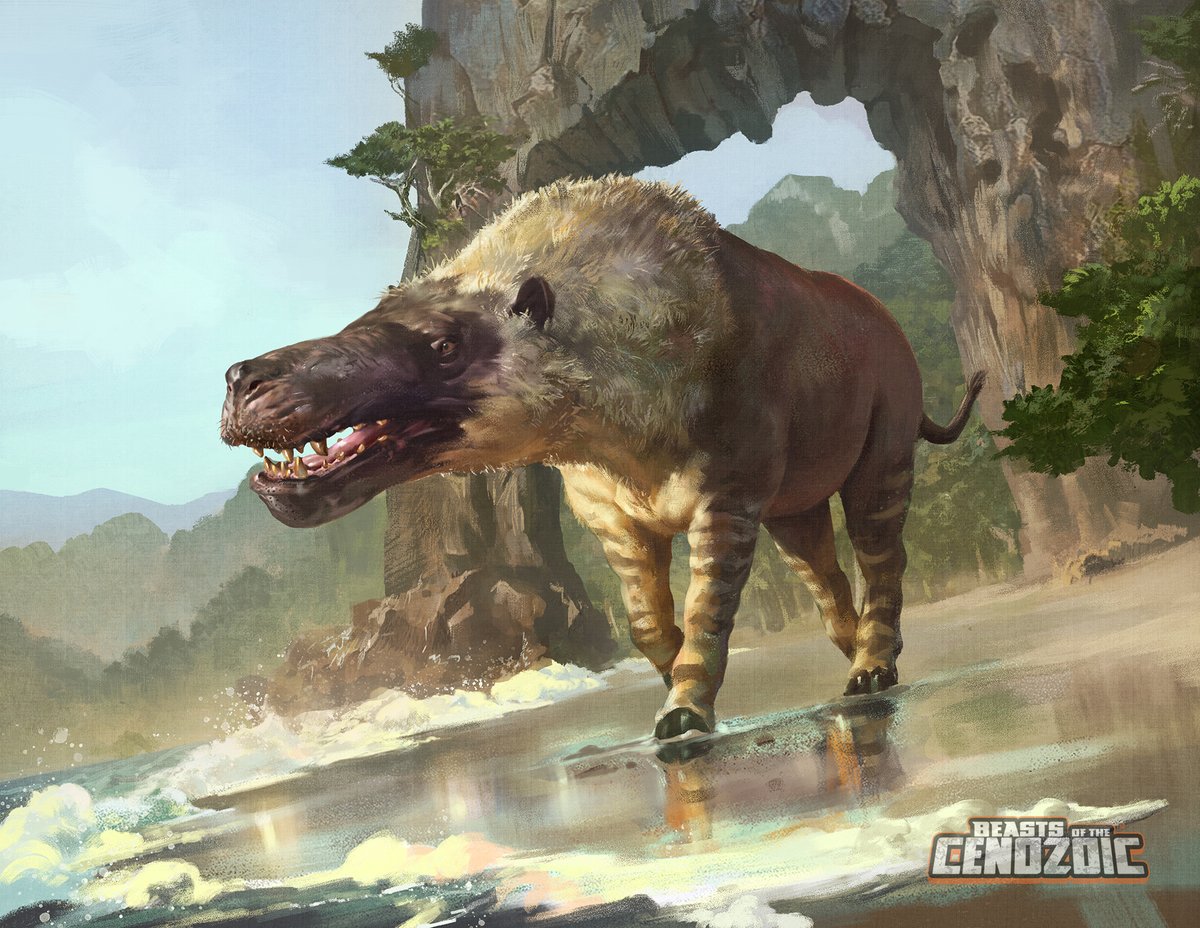 Beast_SculptKit's tweet image. I guess we&apos;ve waited long enough- it&apos;s time now for the final package art reveal of the upcoming BotM/C wave. Here is the art for the Beasts of the Cenozoic Andrewsarchus mongoliensis! Brilliantly executed once again by Raph Lomotan. Preorder at: creative-beast.com/product/andrew…