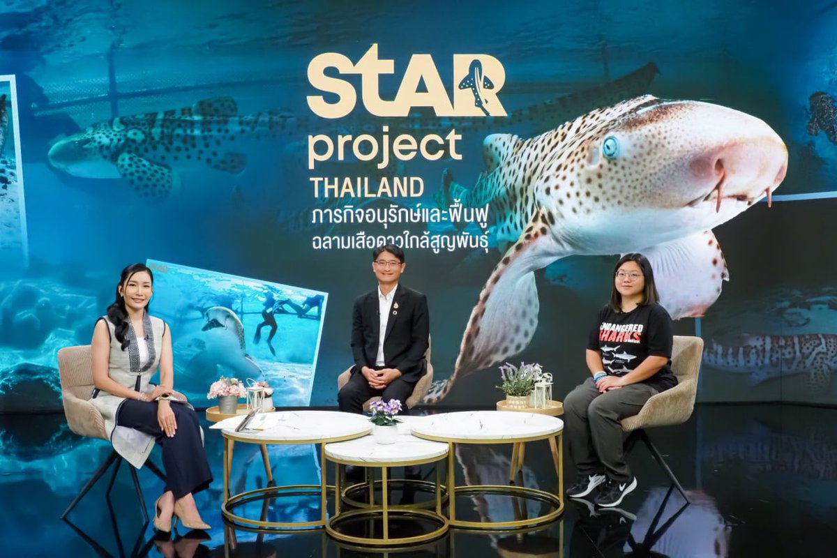 ReShark (@resharkorg) on Twitter photo Dr. Pinsak Suraswadi, Director-General of <a href="/DMCRTH/">āļāļĢāļĄāļāļĢāļąāļāļĒāļēāļāļĢāļāļēāļāļāļ°āđāļĨāļŊ</a> & Metavee Chuangcharoendee, Program Manager for StAR Project Thailand, appeared on <a href="/ThaiPBS/">Thai PBS</a>âs Wan Mai Variety to discuss the StAR Project's efforts to restore Indo-Pacific leopard sharks.
ð Watch here: thaipbs.or.th/program/WanmaiâĶ Dr. Pinsak Suraswadi, Director-General of <a href="/DMCRTH/">āļāļĢāļĄāļāļĢāļąāļāļĒāļēāļāļĢāļāļēāļāļāļ°āđāļĨāļŊ</a> & Metavee Chuangcharoendee, Program Manager for StAR Project Thailand, appeared on <a href="/ThaiPBS/">Thai PBS</a>âs Wan Mai Variety to discuss the StAR Project's efforts to restore Indo-Pacific leopard sharks.
ð Watch here: thaipbs.or.th/program/WanmaiâĶ