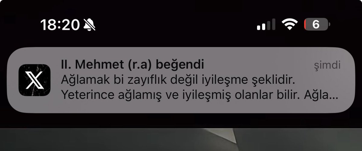 rabiaaunluu's tweet photo. Şey ben daha 1.sini atlatamadım https://t.co/fv8t3oOChs