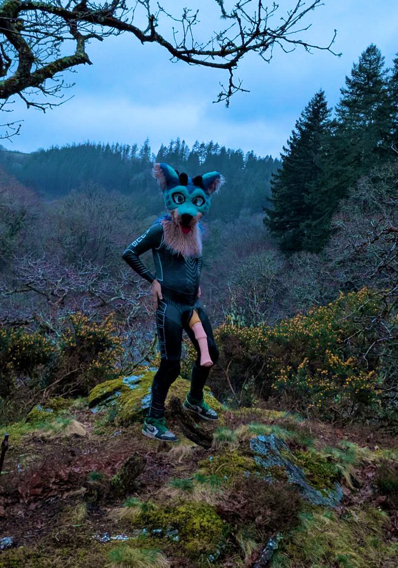 🐾fizzy💛💚🧡CFZ tweet media