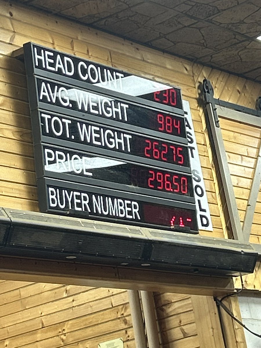 230 steers at 984 hit 296.50 at Stockmens! What a week for the Yankton crew!