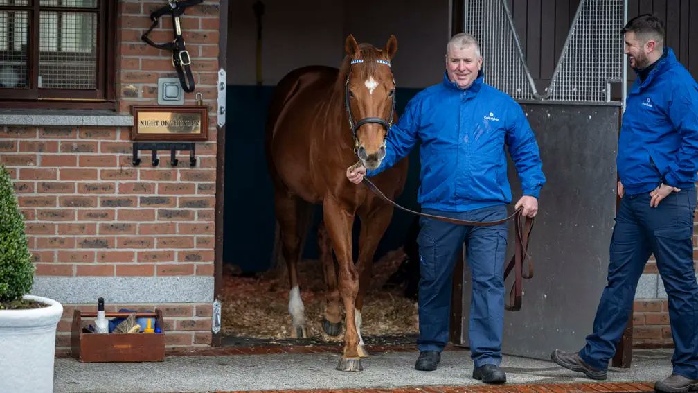 Ombudsman shows a sparkling turn of foot to land the Prince Of Wales's Stakes in style. 

An eighth top-level winner for the red-hot Night Of Thunder, the four-year-old was bred by J Hanly out of the winning Dansili mare Syndicate. 

The colt sold to Stroud Coleman for 340,000gns