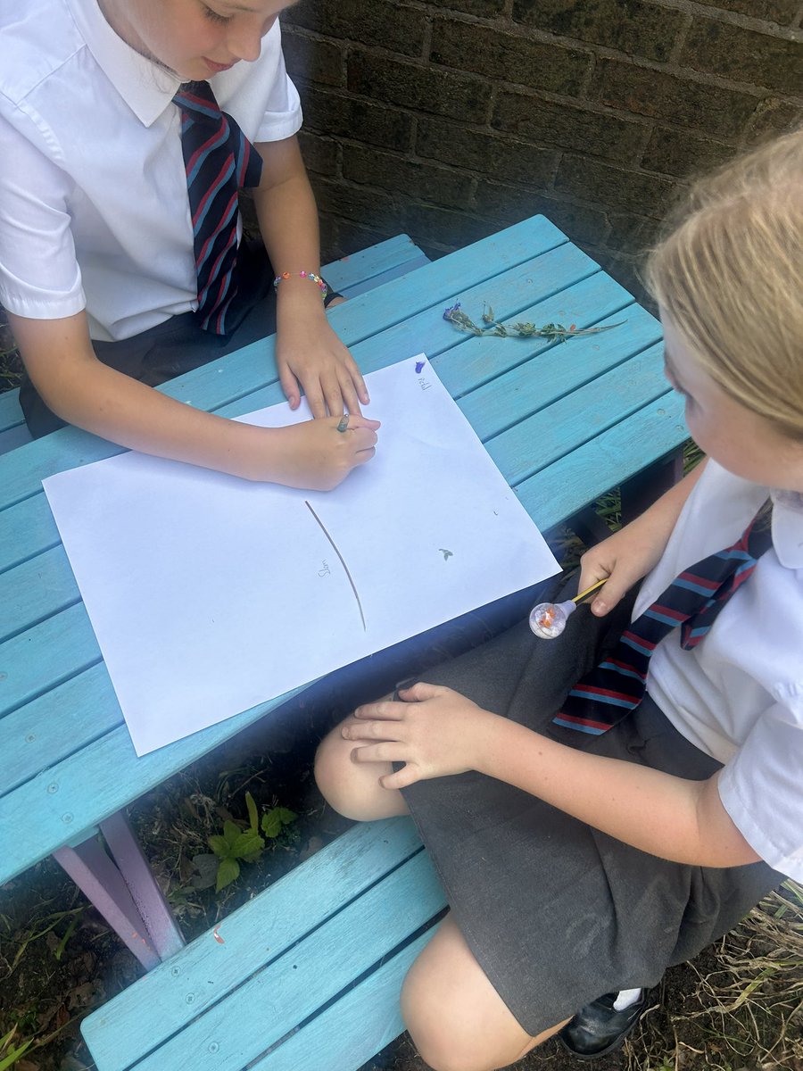 Stretton St Matthew’s tweet media