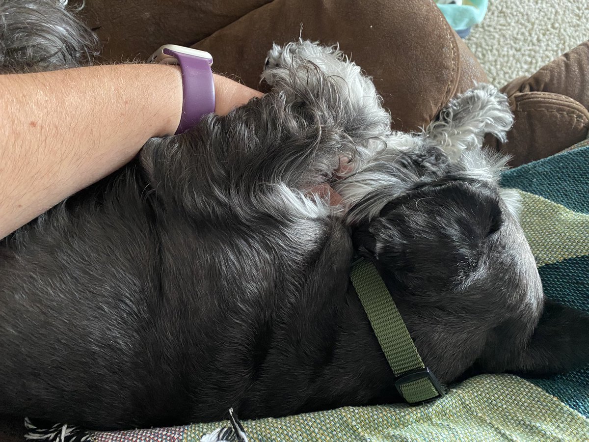 Spending the day with the kids as always, snuggling my little pupper, and playing stardew valley ALL day. That’s how I enjoy my birthday. We just relax. Haha.