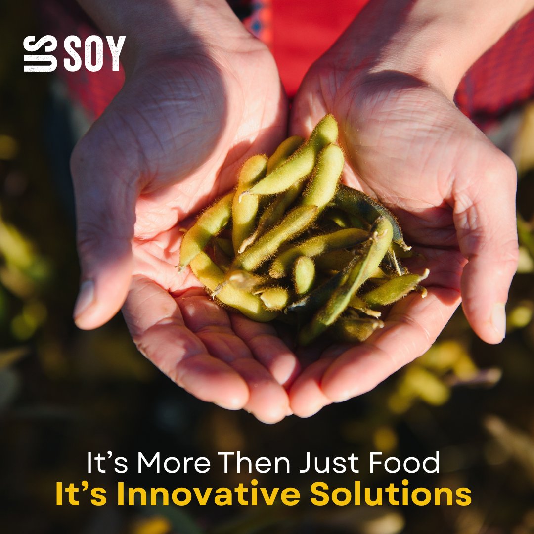arkansassoybean's tweet image. From exploring cover crops on his farm to sharing U.S. Soy's impact at the Farm Progress Show, Brent Renner highlights how soy powers innovation, from PFAS-free foam to soil health solutions.
Learn more: monkeylink.co/9f064e
#ArkansasSoybeans #Soybeans #ArkansasProducers