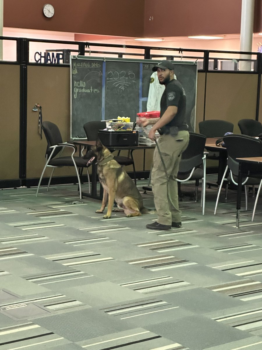 DavidBJasper's tweet image. 🐾 Honored to witness the HCSO K9 Unit in action today! The bond between handler and dog is incredible as they train as a team for narcotics detection, tracking, and patrol. Their dedication to keeping our community safe is truly inspiring!