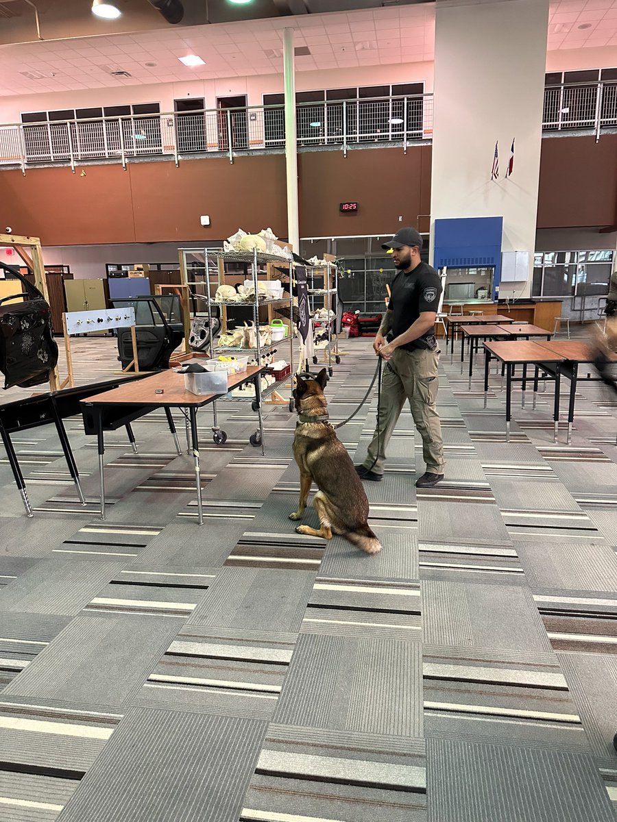 DavidBJasper's tweet image. 🐾 Honored to witness the HCSO K9 Unit in action today! The bond between handler and dog is incredible as they train as a team for narcotics detection, tracking, and patrol. Their dedication to keeping our community safe is truly inspiring!