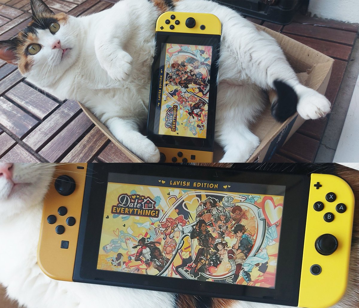 Seeing your own art in the Nintendo Switch store is such a dream come true 😭🙏 

( Go grab <a href="/DateEverything/">Date Everything!</a> !! )