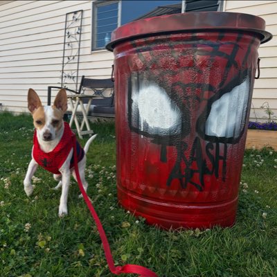#NewProfilePic