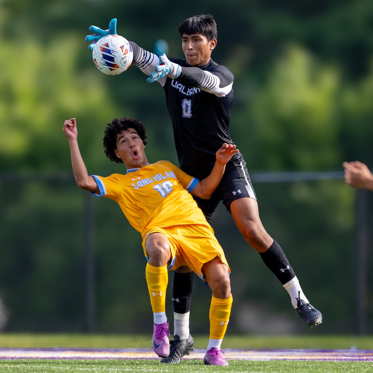 Making saves on the pitch while maintaing grades in the classroom! Great work, Daniel Shannon, for being recognized as an America East Presidential Scholar 📓

📰: tinyurl.com/27b785x9

#UAUKNOW #UAlbanyFutbol
