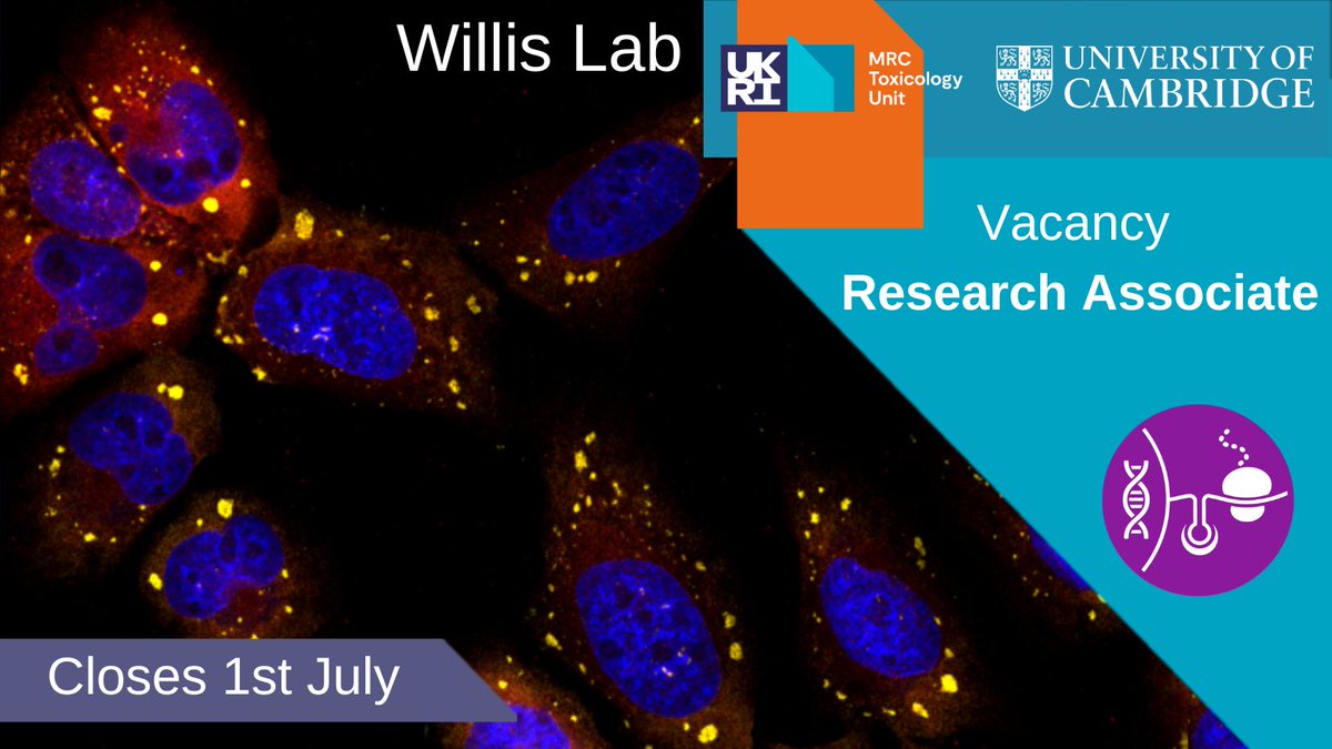 MRC_TU's tweet image. CLOSING SOON: Postdoctoral position in the group of Professor Anne Willis to work on an exciting research programme investigating the effects of mRNA translation surveillance mechanisms on the cytotoxicity of chemotherapeutic agents.
Apply here: buff.ly/tQpAmlN