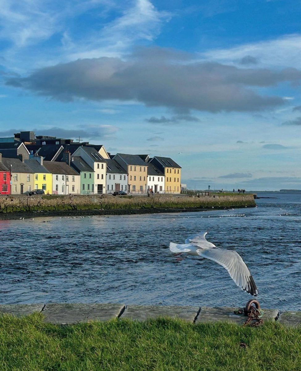The Hillebrand Center for Compassionate Care in Medicine has gone international! This summer, students are immersing themselves in the study of compassion—right in the heart of Ireland. Stay tuned for this one month study abroad starting at Kylemore Abbey and ending in Galway!