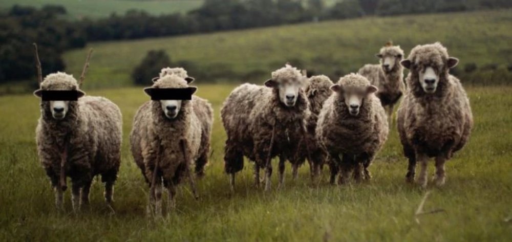 🦹 📸 Face Privacy. Un logiciel libre (vous pouvez même jeter un œil au code si ça vous dit) qui floute automatiquement les visages sur une photo, ou les remplace par des émojis rigolos. 
outilstice.com/2025/06/face-p…